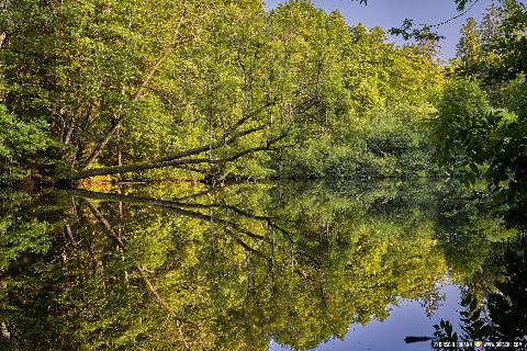 Gemeinde Tarsdorf Bezirk Braunau Huckinger See (Dirschl Johann) Österreich BR